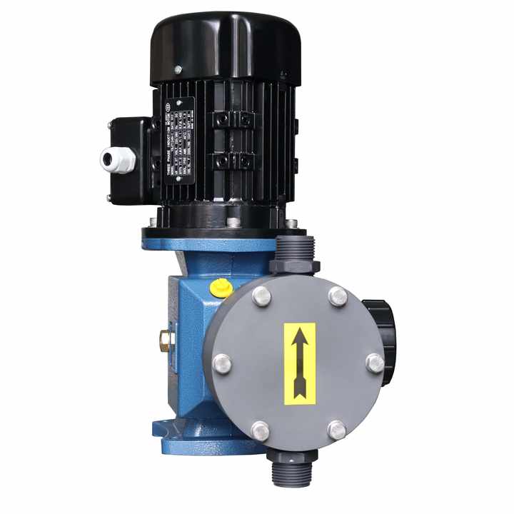 PAC PAM Chlorine Dosing Pump for Water Treatment & Chemical Feed